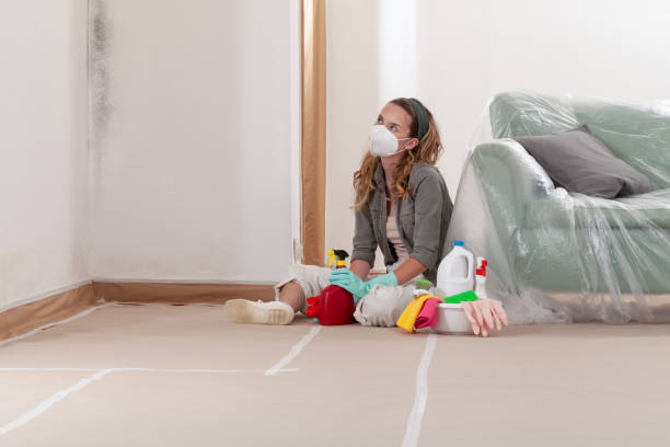 Reliable Black Mold Removal contractor in Maple Shade, NJ by WQB Mold Removal
